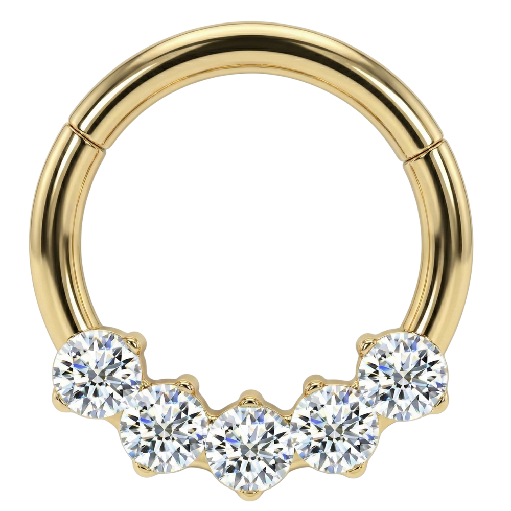 Tytanowy Clicker Segmentowy 5 Okrągłych Cyrkonii - Kółko