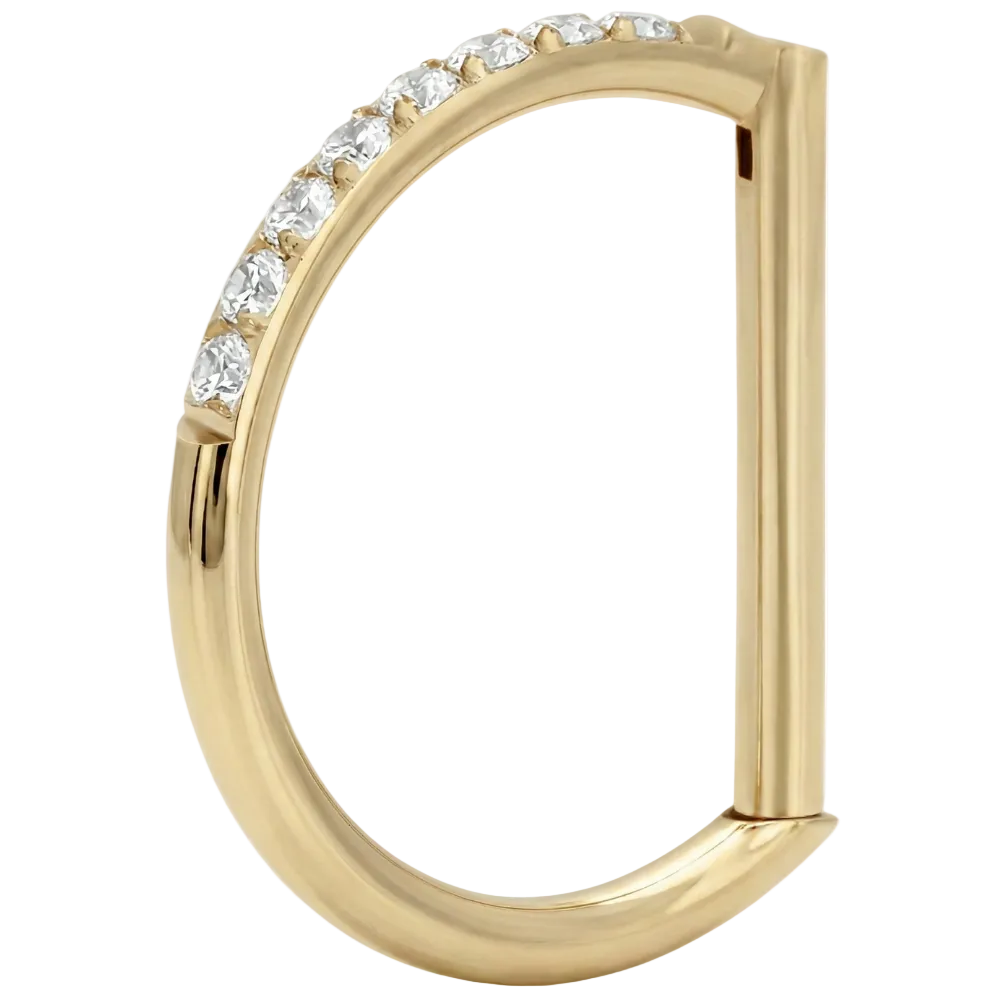 Tytanowy Clicker Segmentowy Z Cyrkoniami - D-Ring