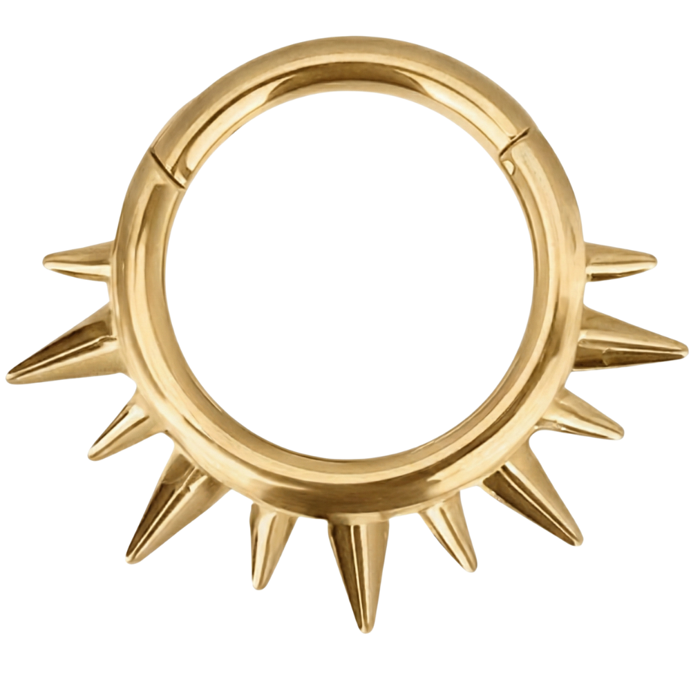 Tytanowy Clicker Segmentowy Z Kolcami - Kółko