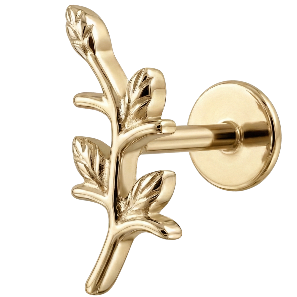 Tytanowy Labret Ozdobny - Gałąź Z Listkami