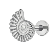 Tytanowy Labret Ozdobny - Muszelka Z Cyrkonią