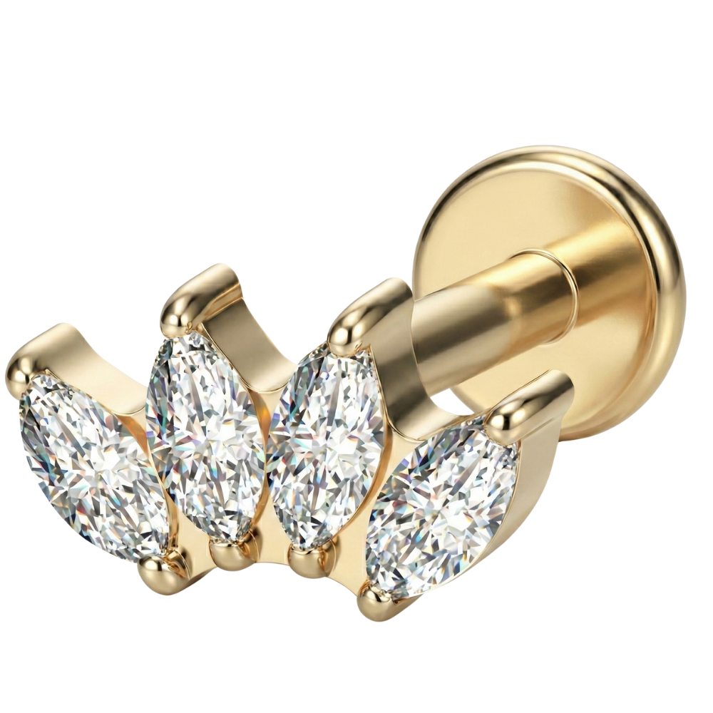 Tytanowy Labret Ozdobny - Korona Cyrkonii