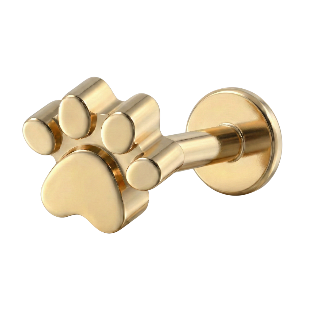 Tytanowy Labret Ozdobny - Łapka