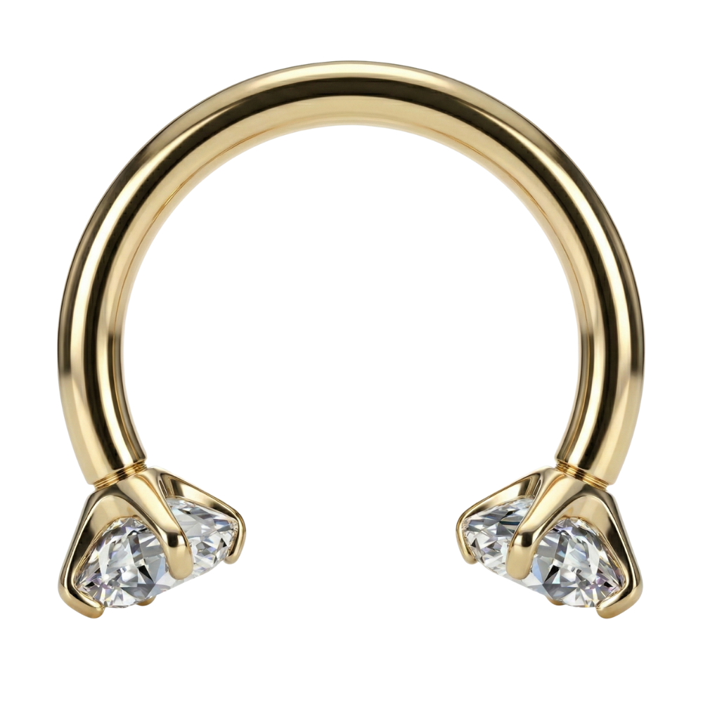 Tytanowa Podkówka Ozdobna - Cyrkonie