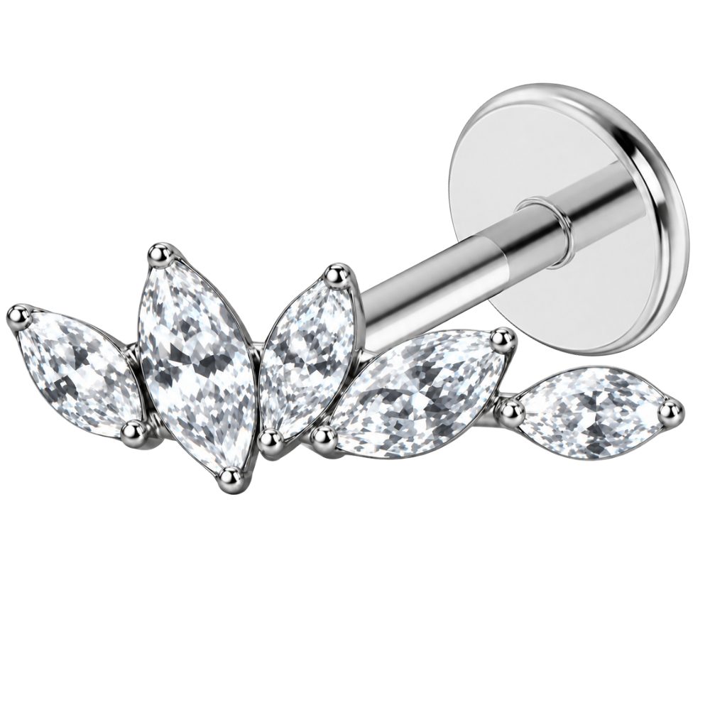 Tytanowy Labret Ozdobny Galazka 5 Cyrkonii 