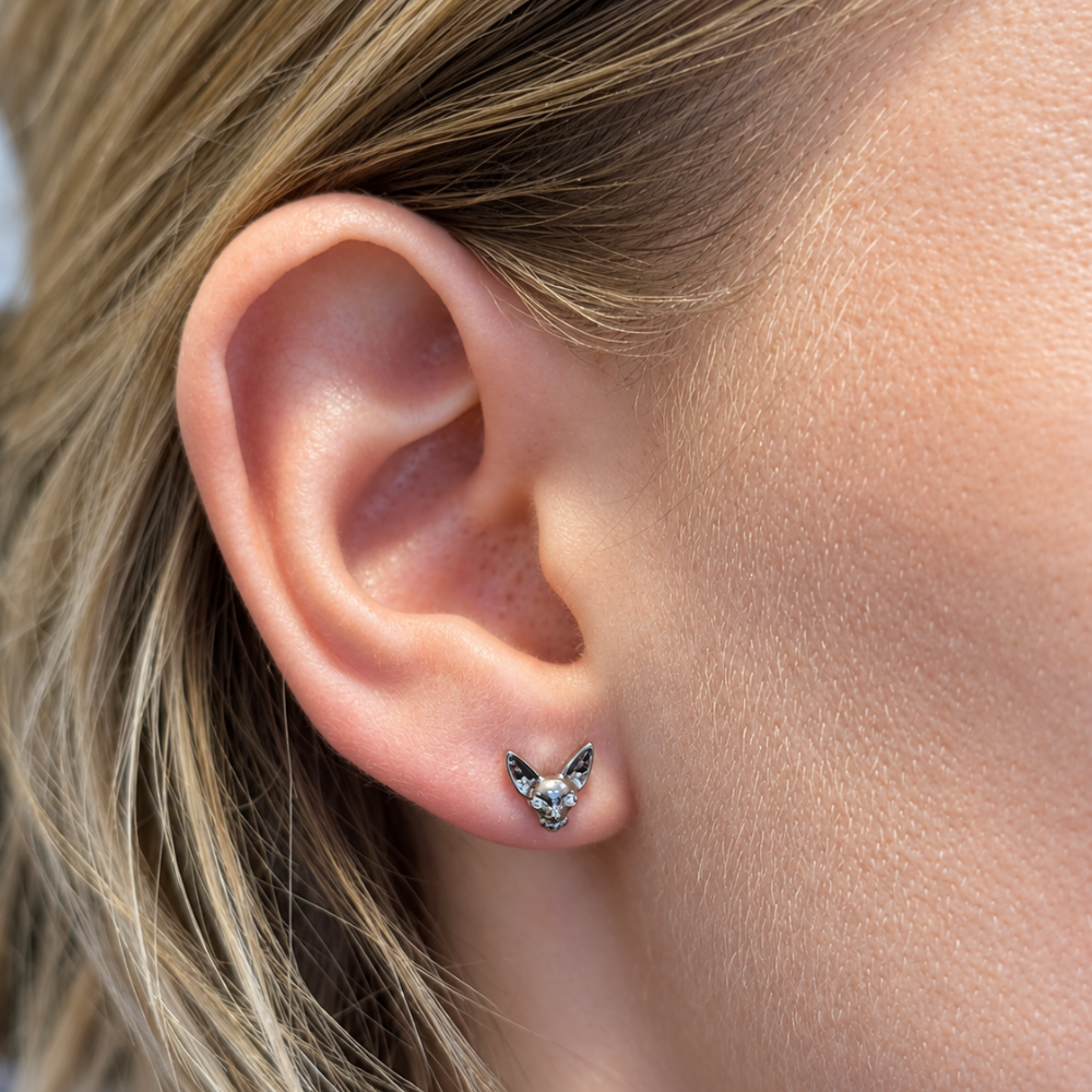 labret sfinks - kot prezentowany na modelce
