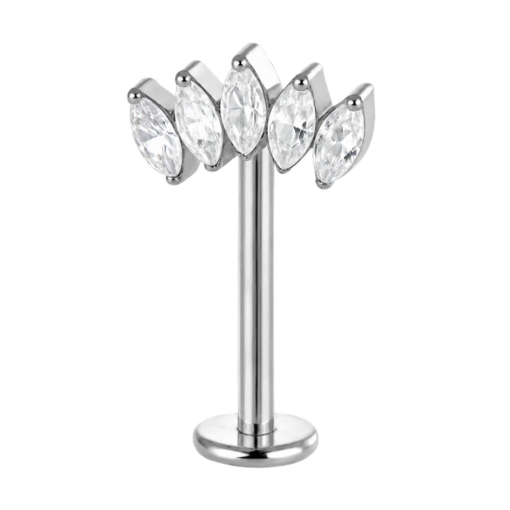 Tytanowy Labret Ozdobny do Vertical Helix 5 Listkow Cyrkonii